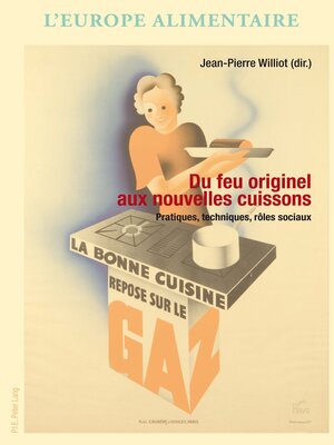 cover image of Du feu originel aux nouvelles cuissons